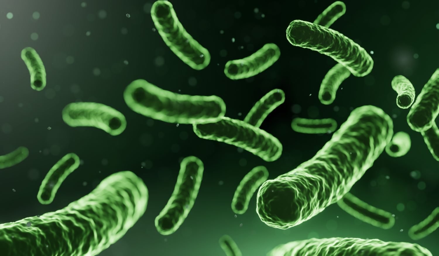 Microscopic bacteria illustrating waterborne pathogens removed by disinfection