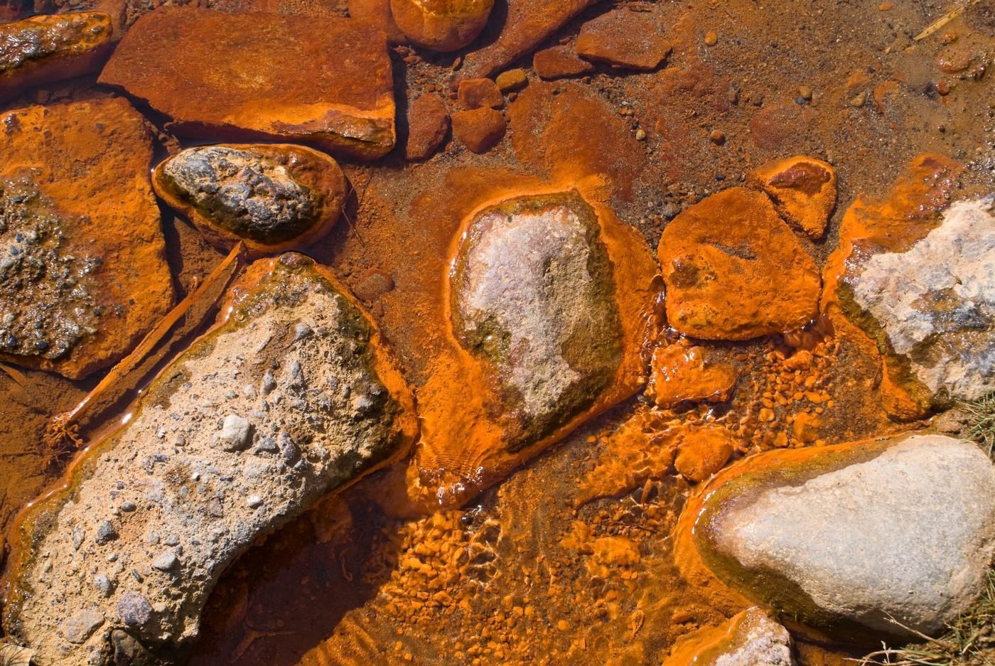 Stream rocks coated with orange mineral deposits